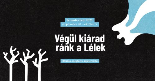 pályázati kiírás 2025.