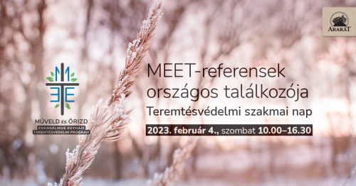 meet